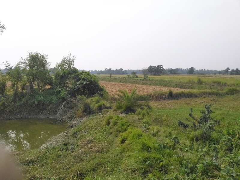 Agricultural Land for Sale in Diamond Harbour, South 24 Parganas ...