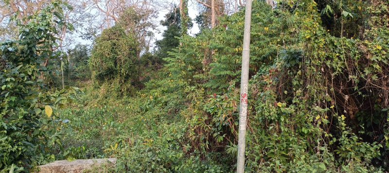  Residential Plot 2 Hectares for Sale in Diglipur, Andaman