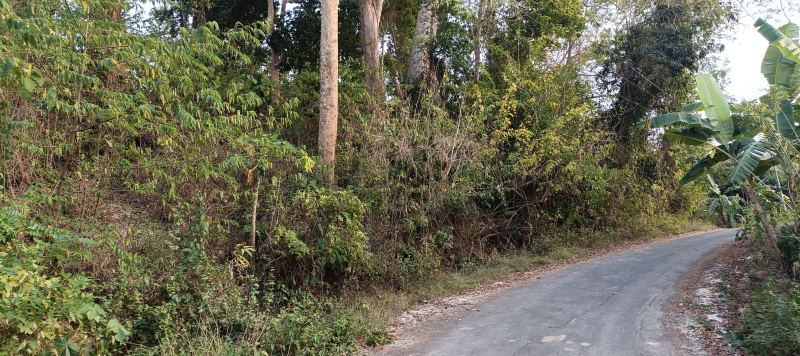  Residential Plot 2 Hectares for Sale in Diglipur, Andaman