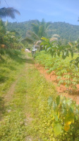  Residential Plot for Sale in Adimali, Idukki