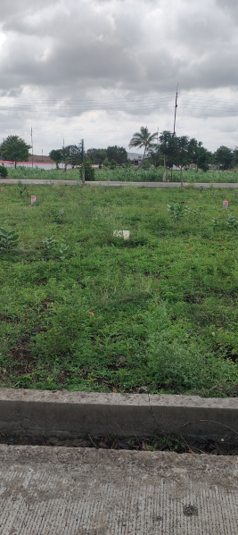  Residential Plot 3700 Sq.ft. for Sale in Shahunagar, Beed