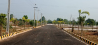  Residential Plot for Sale in Chelluru, Vizianagaram