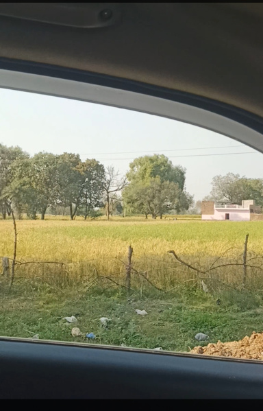 88 Dismil Agricultural/Farm Land for Sale in Rath, Hamirpur