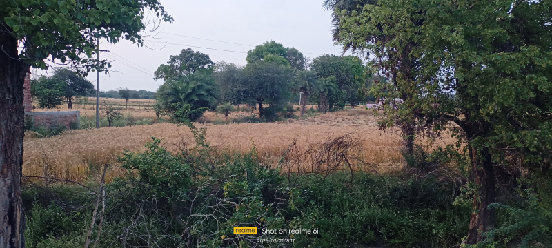  88 Dismil Agricultural/Farm Land for Sale in Rath, Hamirpur