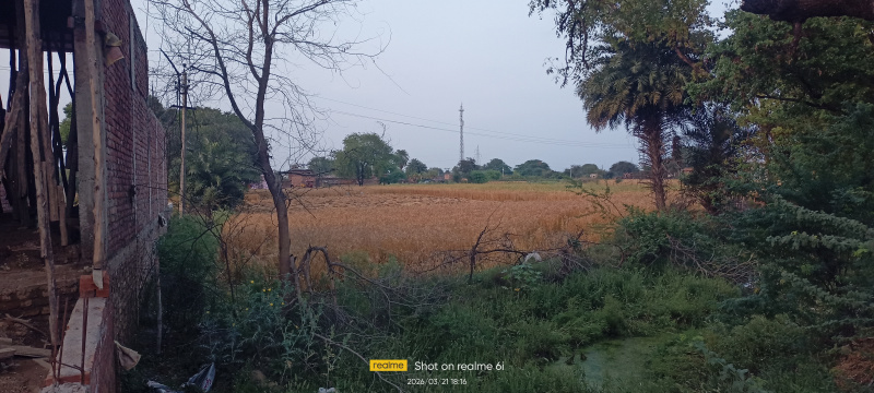  88 Dismil Agricultural/Farm Land for Sale in Rath, Hamirpur