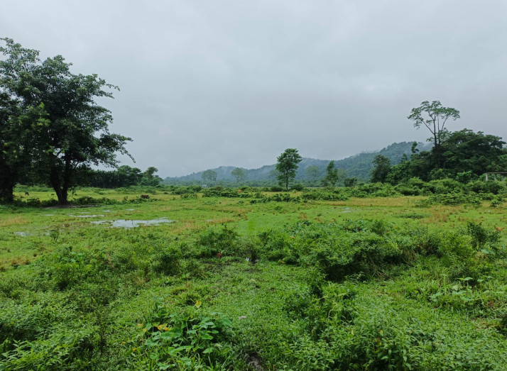  Agricultural Land 4 Bigha for Sale in Malbazar, Jalpaiguri