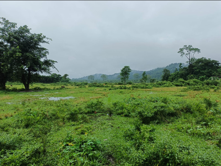  Agricultural Land 4 Bigha for Sale in Malbazar, Jalpaiguri