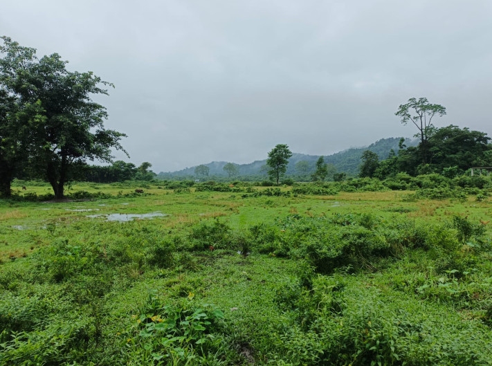  Agricultural Land 3 Bigha for Sale in Banarhat Tea Garden, Jalpaiguri