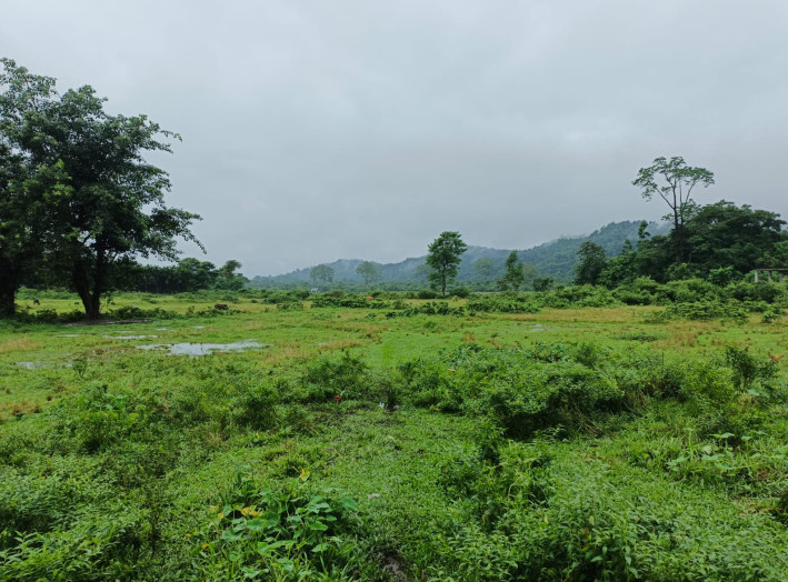  Agricultural Land 3 Bigha for Sale in Banarhat Tea Garden, Jalpaiguri