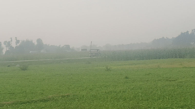  Agricultural Land 82 Bigha for Sale in Malbazar, Jalpaiguri