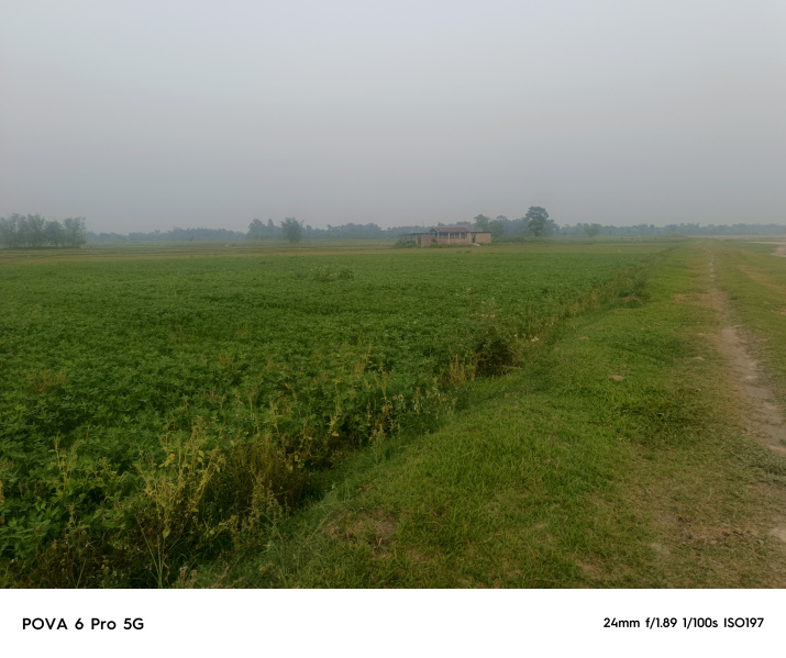  Agricultural Land 82 Bigha for Sale in Malbazar, Jalpaiguri