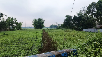  Residential Plot for Sale in Fatapukur, Jalpaiguri