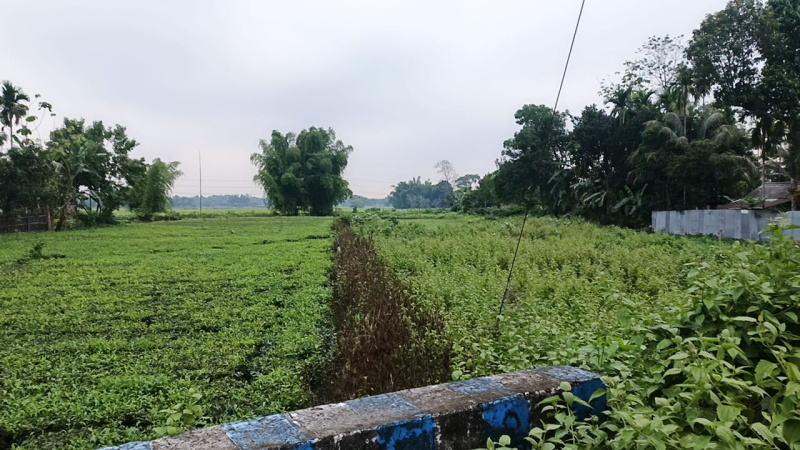  Residential Plot 400 Bigha for Sale in Fatapukur, Jalpaiguri