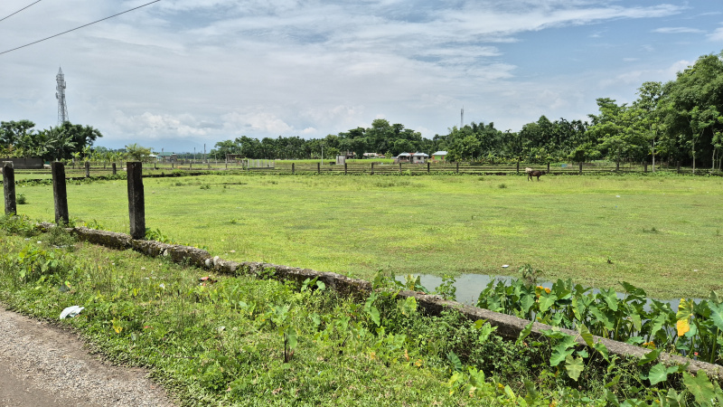  Commercial Land 5 Bigha for Sale in Murti, Jalpaiguri