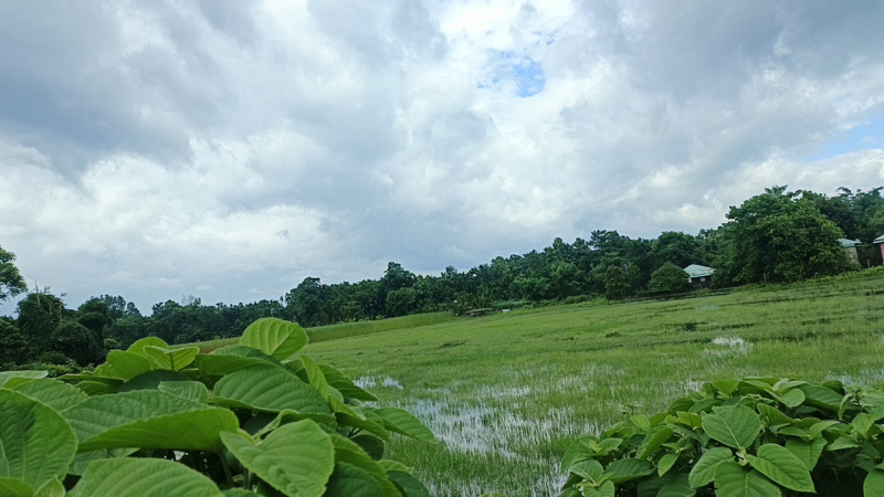  Industrial Land 2 Bigha for Sale in Murti, Jalpaiguri
