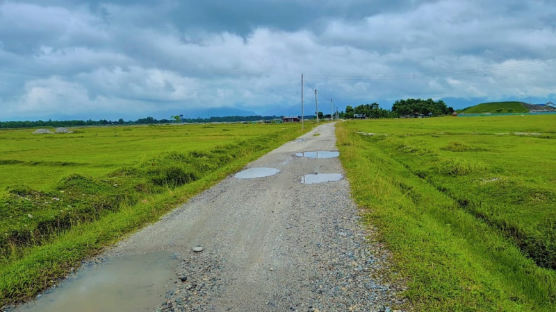  Residential Plot 30 Bigha for Sale in Gairkata, Jalpaiguri