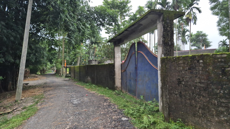  Residential Plot 2 Bigha for Sale in Malbazar, Jalpaiguri