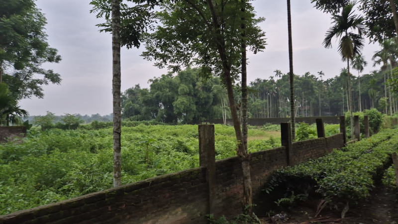  Residential Plot 2 Bigha for Sale in Malbazar, Jalpaiguri