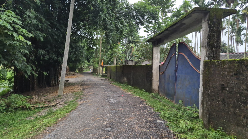  Residential Plot 2 Bigha for Sale in Malbazar, Jalpaiguri