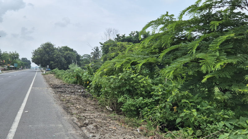  Residential Plot 34 Katha for Sale in Matelli, Jalpaiguri