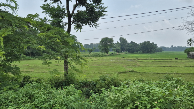  Residential Plot 34 Katha for Sale in Matelli, Jalpaiguri