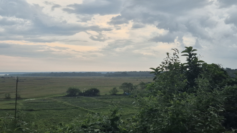  Residential Plot 22 Bigha for Sale in Nutan Para, Jalpaiguri