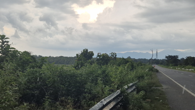  Residential Plot 22 Bigha for Sale in Nutan Para, Jalpaiguri