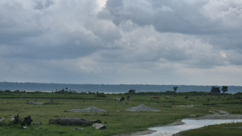  Residential Plot for Sale in Banarhat Tea Garden, Jalpaiguri