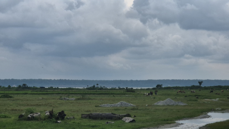  Residential Plot 30 Bigha for Sale in Banarhat Tea Garden, Jalpaiguri