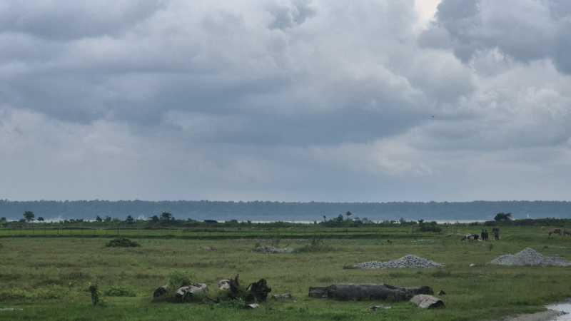  Residential Plot 30 Bigha for Sale in Banarhat Tea Garden, Jalpaiguri