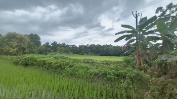  Residential Plot for Sale in Murti, Jalpaiguri