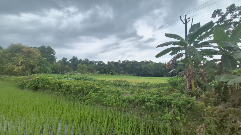  Residential Plot 3 Katha for Sale in Murti, Jalpaiguri