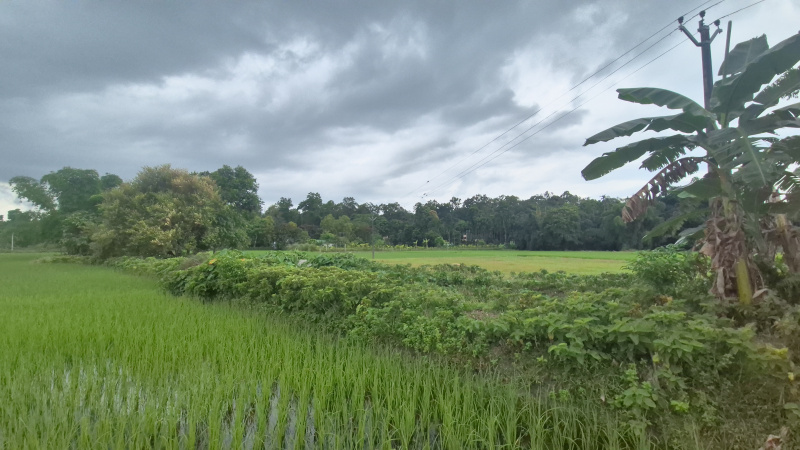  Residential Plot 3 Katha for Sale in Murti, Jalpaiguri
