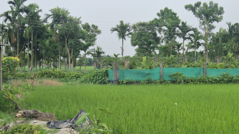  Residential Plot 3 Katha for Sale in Murti, Jalpaiguri