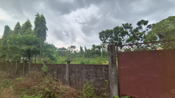  Residential Plot for Sale in Dooars, Alipurduar
