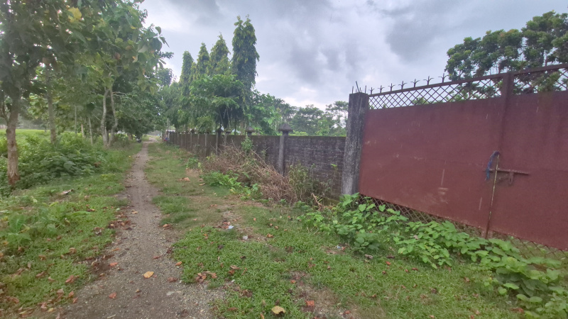  Residential Plot 9 Bigha for Sale in Dooars, Alipurduar