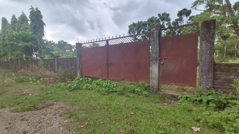  Residential Plot 9 Bigha for Sale in Dooars, Alipurduar