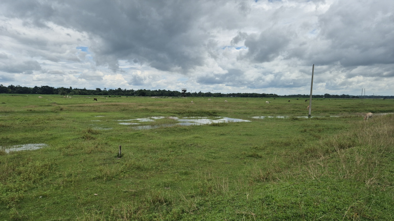  Residential Plot 11 Bigha for Sale in Denguajhar, Jalpaiguri