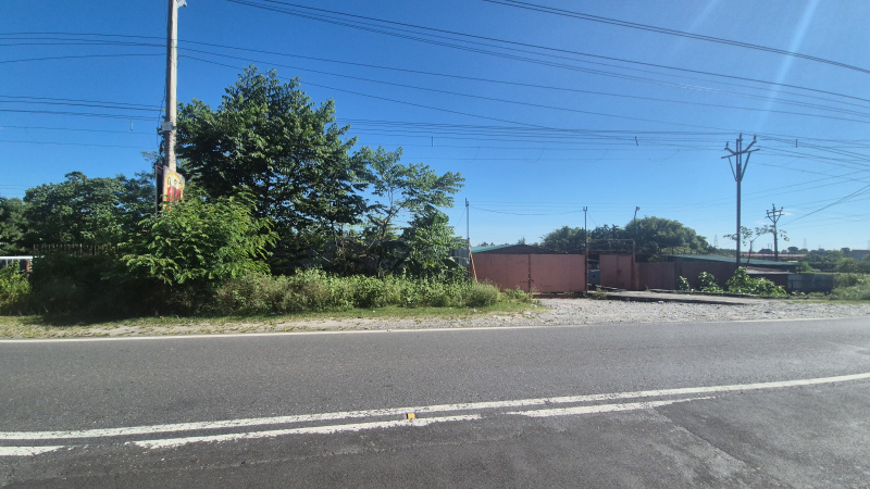  Agricultural Land 320 Katha for Sale in Malbazar, Jalpaiguri