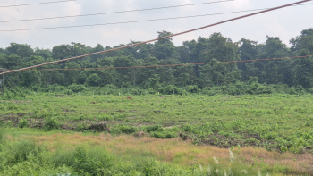  Residential Plot for Sale in Jaygaon, Alipurduar