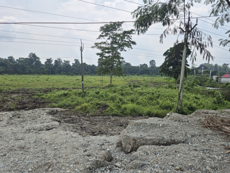  Residential Plot 22 Bigha for Sale in Jaygaon, Alipurduar