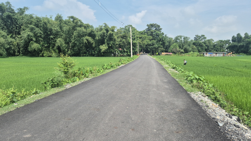  Industrial Land 170 Bigha for Sale in Dhupguri, Jalpaiguri