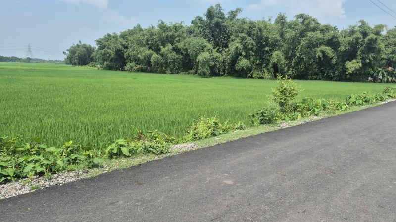  Industrial Land 170 Bigha for Sale in Dhupguri, Jalpaiguri