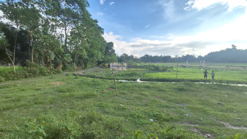  Residential Plot 17 Bigha for Sale in Malbazar, Jalpaiguri