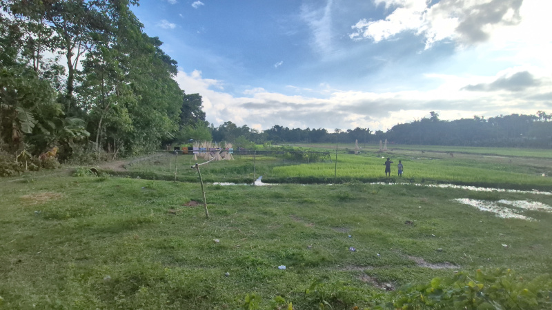  Residential Plot 17 Bigha for Sale in Malbazar, Jalpaiguri