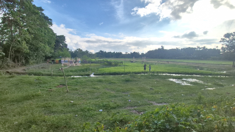  Residential Plot 17 Bigha for Sale in Malbazar, Jalpaiguri