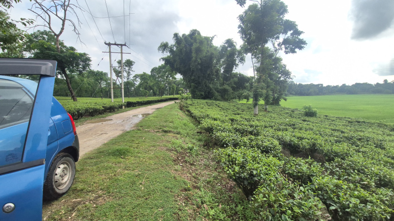  Agricultural Land 3 Bigha for Sale in Barapatina Nutanbus, Jalpaiguri