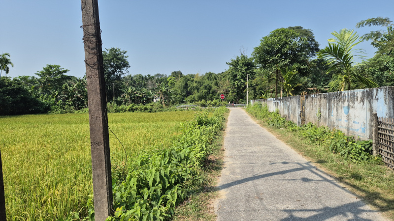 4 Bigha Residential Plot for Sale in Banarhat Tea Garden, Jalpaiguri