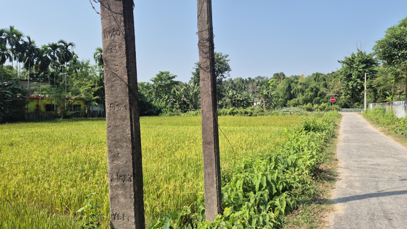 4 Bigha Residential Plot for Sale in Banarhat Tea Garden, Jalpaiguri