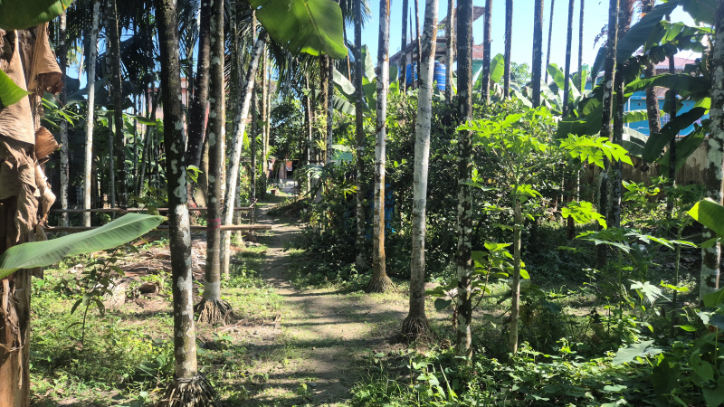  30 Katha Residential Plot for Sale in Malbazar, Jalpaiguri